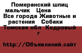 Померанский шпиц мальчик › Цена ­ 30 000 - Все города Животные и растения » Собаки   . Томская обл.,Кедровый г.